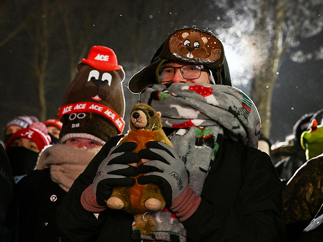 "День сурка" в Пенсильвании: мохнатому синоптику – 185. Фоторепортаж