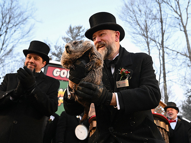 "День сурка" в Пенсильвании: мохнатому синоптику – 185. Фоторепортаж