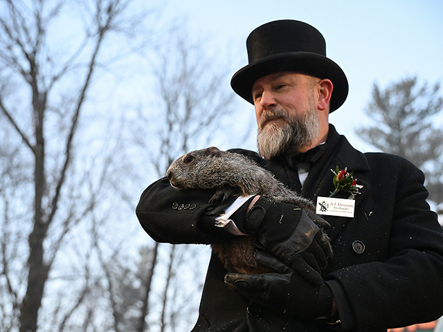 "День сурка" в Пенсильвании: мохнатому синоптику – 185. Фоторепортаж