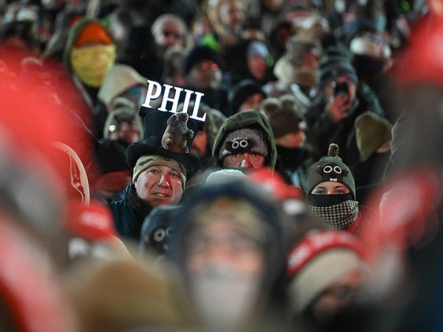 "День сурка" в Пенсильвании: мохнатому синоптику – 185. Фоторепортаж