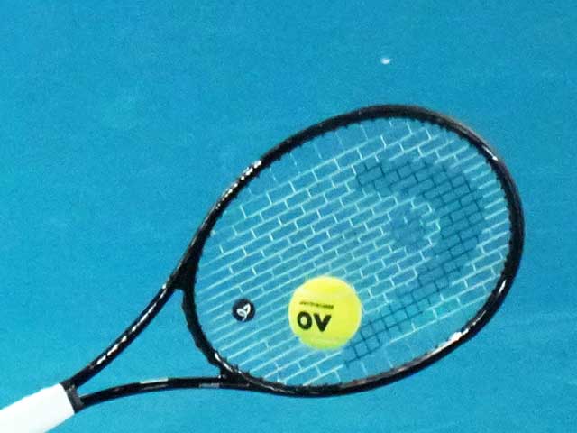 Теннис. Умер известный тренер Владимир Камельзон