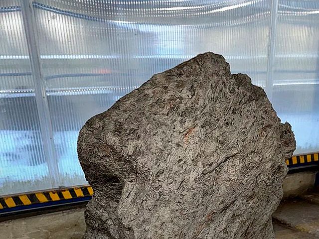 В порту Санкт-Петербурга пресекли вывоз фрагмента метеорита стоимостью более $4 млн