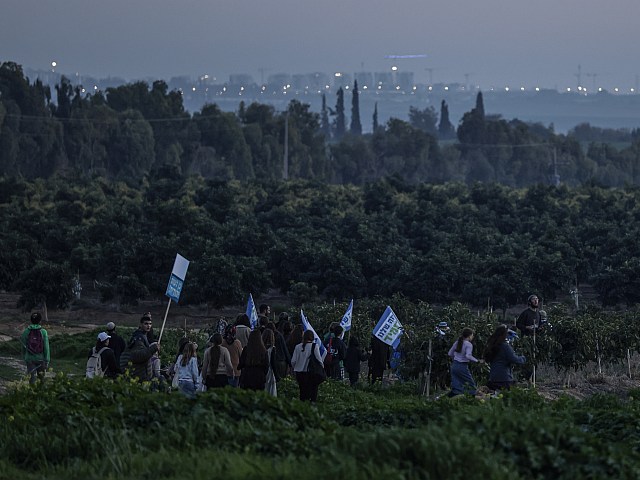 Активисты "Нахала" прорвались в сектор Газы, чтобы сажать деревья