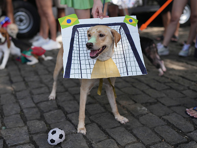В Рио-де-Жанейро стартовал карнавал: пляжное безумие и собачий фестиваль. Фоторепортаж
