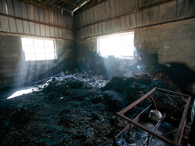 На юге Хевронского нагорья сгорела овчарня, палестинцы обвиняют евреев