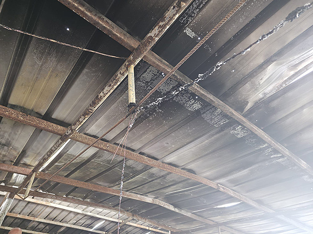 Следствием установлено: пожар в палестинской овчарне начался из-за короткого замыкания