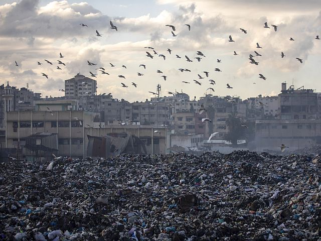Под временный жилой квартал в Газе зачищены 1,25 кв.км территории, вывезено 70 тысяч тонн мусора