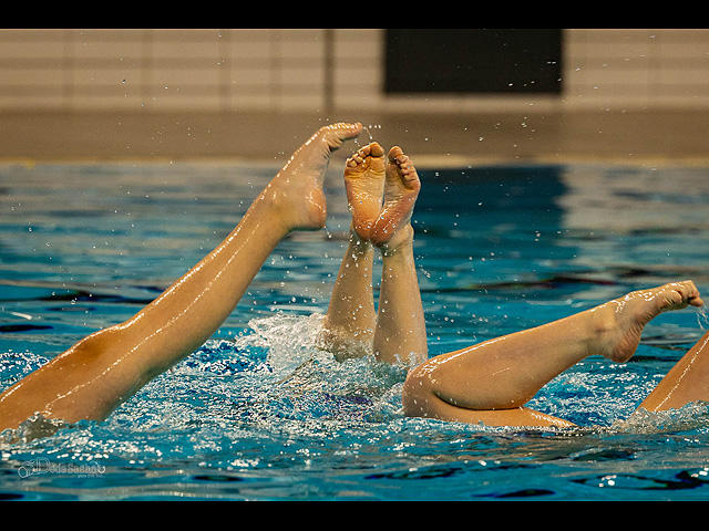 Чемпионат Израиля по синхронному плаванию. Фоторепортаж
