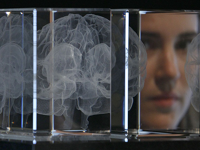 Как мозг разделяет и снова "склеивает" реальность: израильское исследование