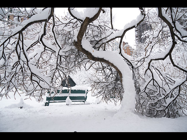 Рекордный снегопад на востоке США. Фоторепортаж