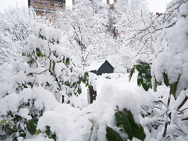 Рекордный снегопад на востоке США. Фоторепортаж