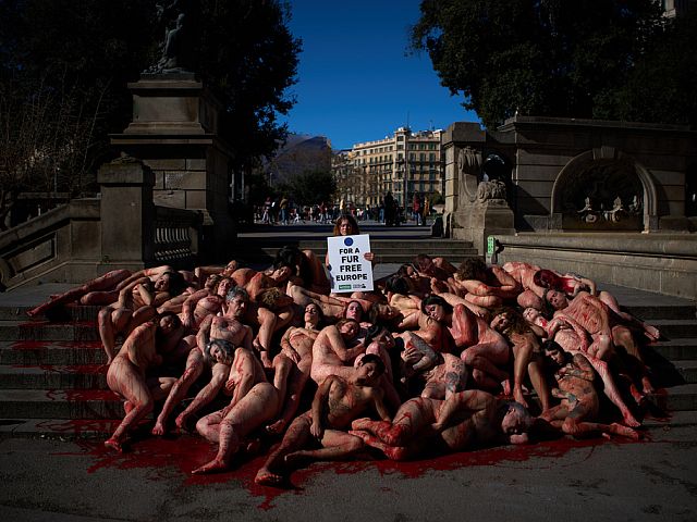 "Голые и окровавленные": традиционная акция протеста защитников прав животных в Барселоне