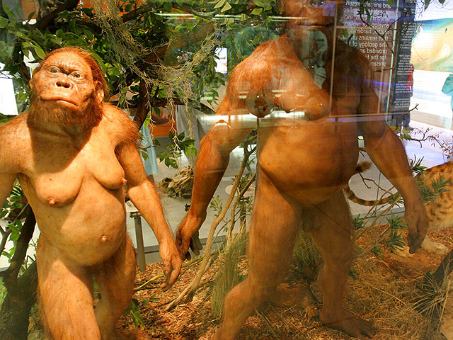 Исследования показывают, что у неандертальцев была предвзятость в выборе партнеров для спаривания