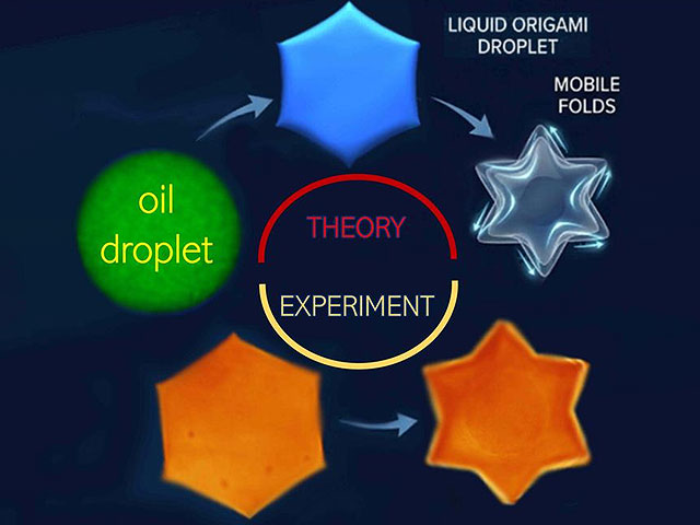 Физики "сложили" каплю масла в микроскопический "Маген Давид"