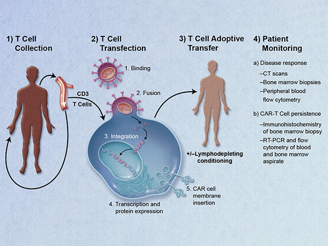 Ученые успешно применили методы лечения рака против болезни Альцгеймера