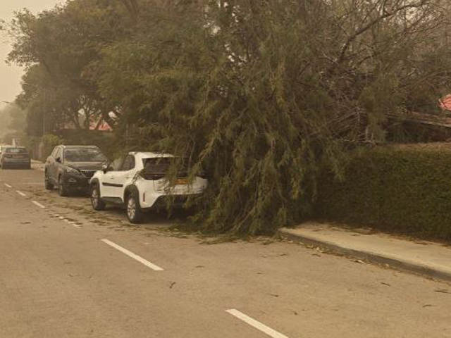 Песчаная буря в Западном Негеве, порывы ветра достигают 90 км/ч