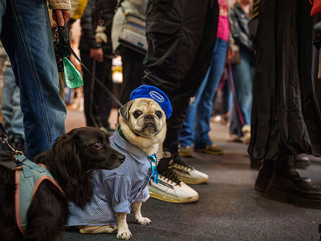 Выставка PetExpo Romania 2026. Фоторепортаж