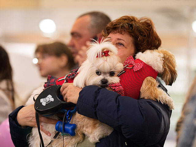 Выставка PetExpo Romania 2026. Фоторепортаж