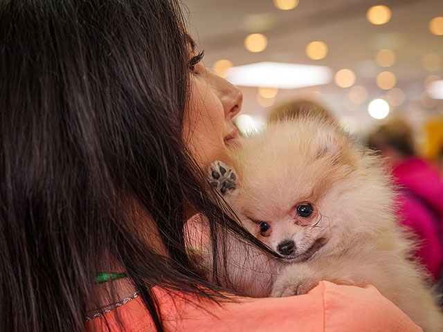 Выставка PetExpo Romania 2026. Фоторепортаж
