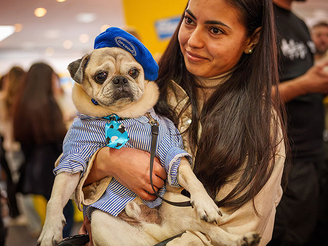 Выставка PetExpo Romania 2026. Фоторепортаж