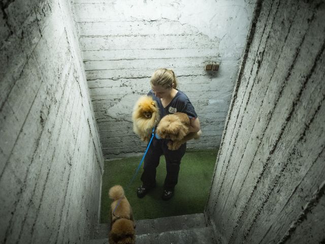 "Цева адом" на линии противостояния. Ракетные обстрелы продолжаются