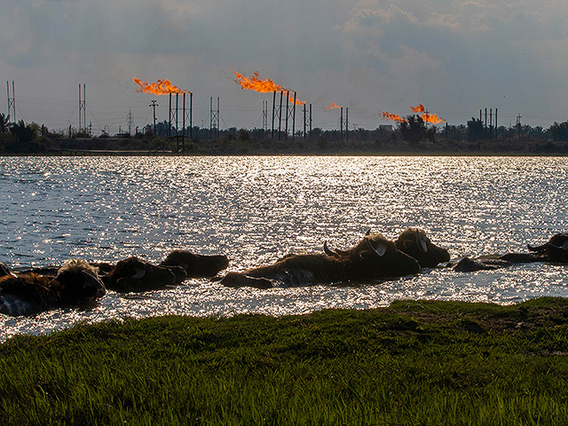 Министр энергетики Ирана: электрическому и водному хозяйству нанесен значительный ущерб