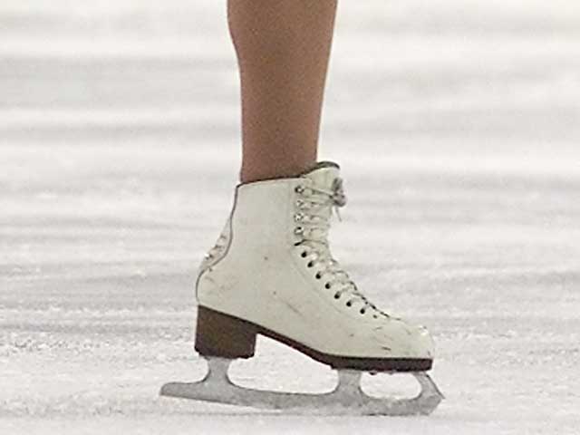 Чемпионат мира по фигурному катанию. Состав сборной Израиля