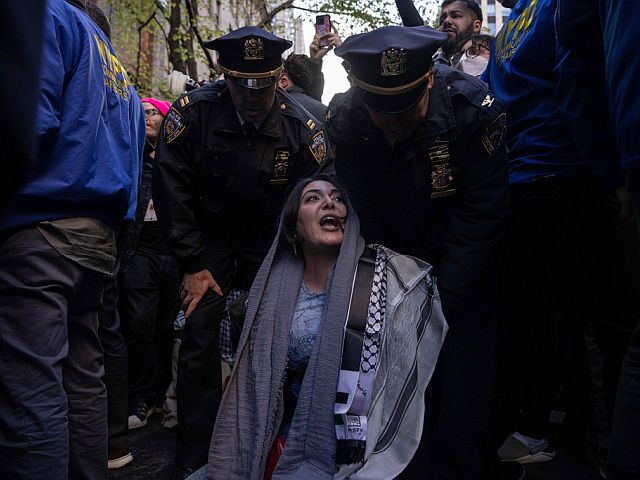 В Нью-Йорке предотвратили покушение на Нердин Кисуани, одну из лидеров антиизраильских протестов