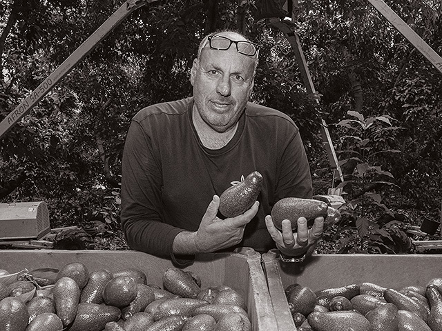 Офер Мошкович