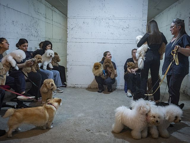 Вновь "Цева адом" на севере Израиля