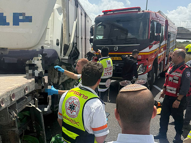 Водитель грузовика погиб в ДТП на трассе №6