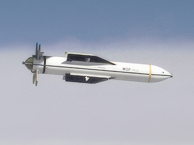 WSJ: США нанесли удар по комплексу КСИР в Иране сверхтяжелыми противобункерными бомбами