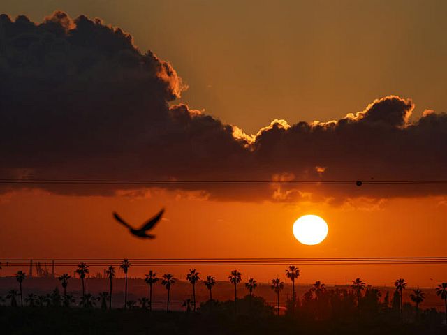 Перемирие с Ираном: за и против, успехи и угрозы. Опрос Newsru.co.il