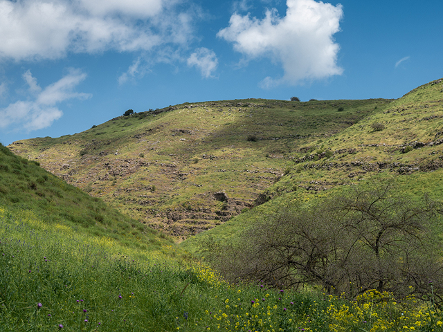Управление охраны природы открыло национальные парки и заповедники