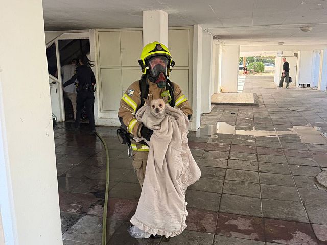 Пожар в жилом доме в Ашдоде, пострадали восемь человек, включая малыша