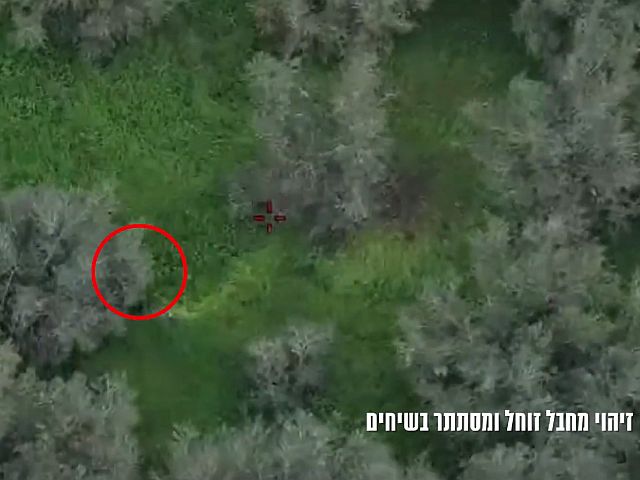 Кусты не спасли: ВВС Израиля ликвидировали группу боевиков "Хизбаллы" в Ливане. Видео