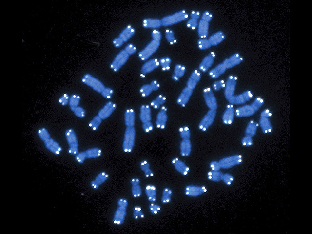 Иллюстрация к статье