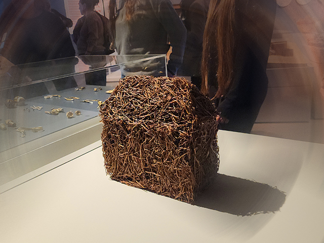 Открывается третья Израильская биеннале крафта и дизайна "Труды и дни"
