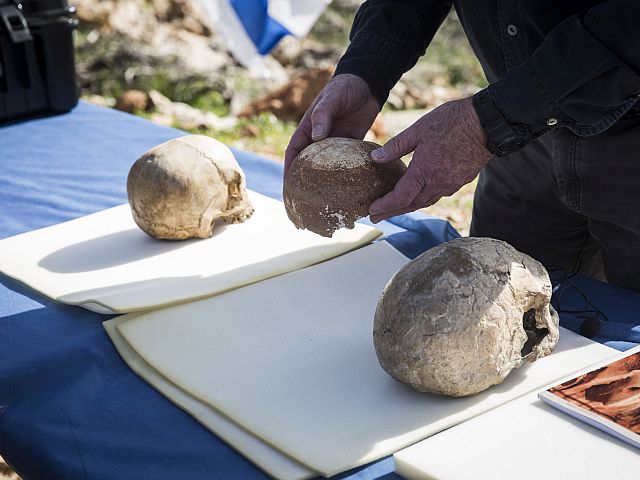 Почему младенцы неандертальцев росли быстрее, чем дети Homo sapiens