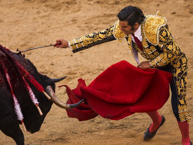 Легендарный матадор Моранте де ла Пуэбла, раненный быком в анус, выступил с первым заявлением