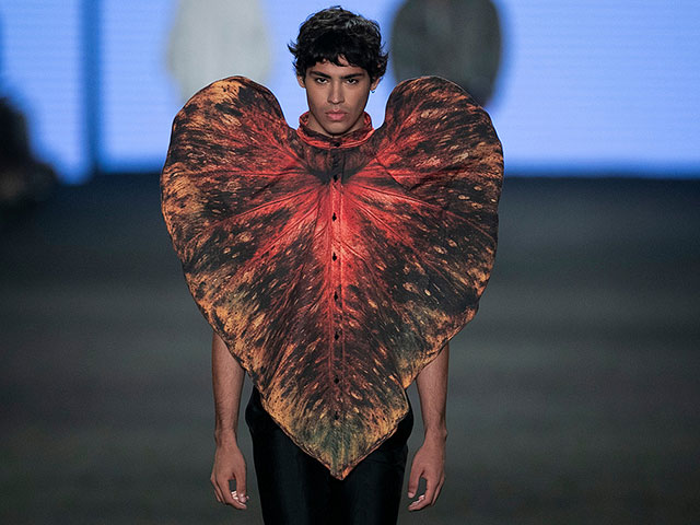 Коллекция Normando