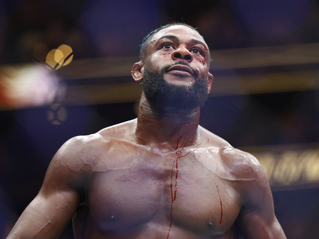 UFC. Стерлинг победил Залала