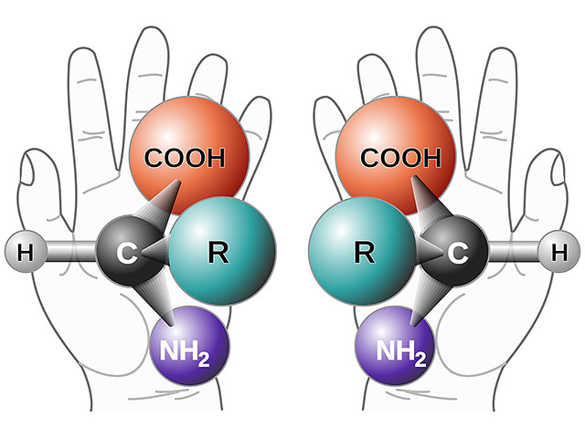 Израильские физики объяснили, почему природа отдает предпочтение одной "руке" перед другой