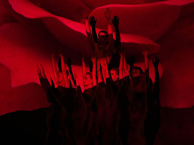 BOTANICA возвращается на сцену. Фоторепортаж