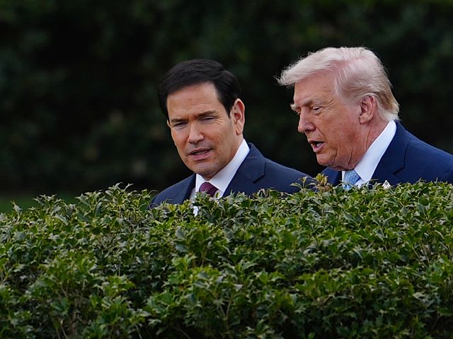 Трамп приостановил "Проект Свобода" после заявления о завершении операции "Эпическая ярость"