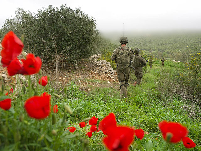 Ynet: в результате атаки БПЛА на севере Израиля были ранены 12 военнослужащих