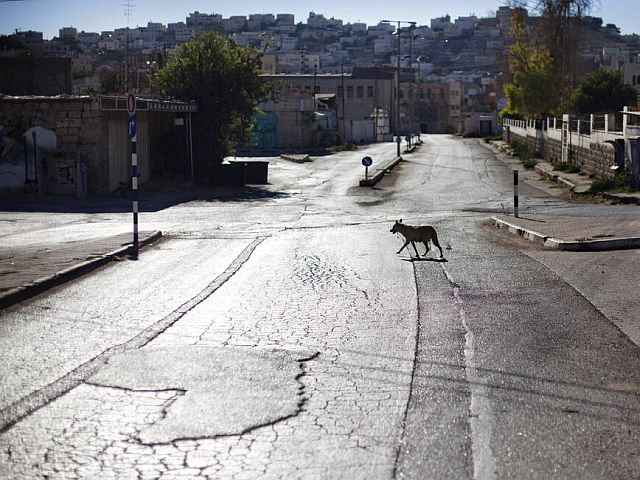 В Хевроне (архивное фото)