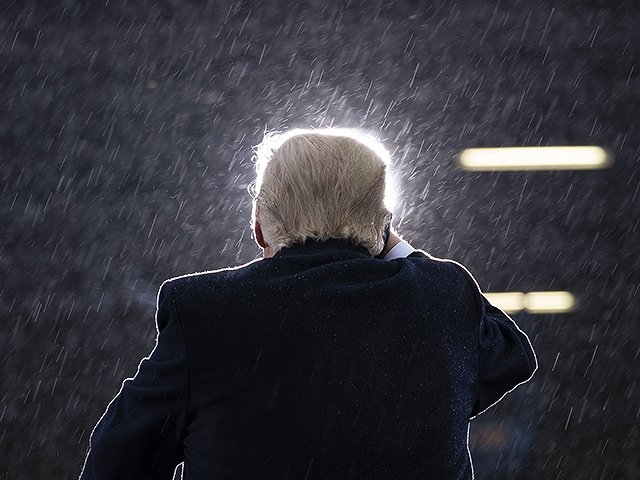 2020 год
