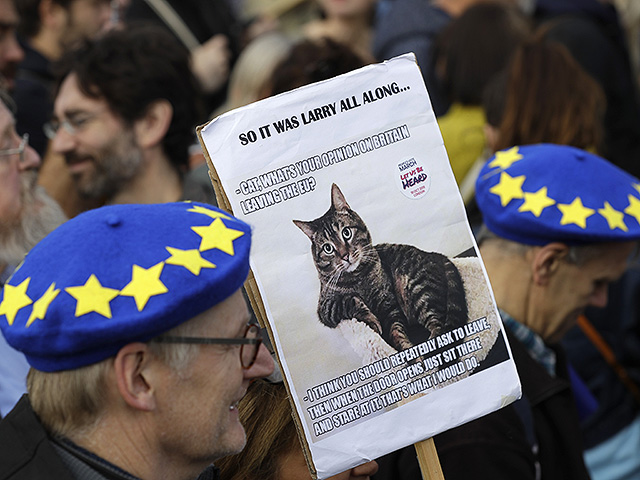 Протестующие против Brexit несут плакат с изображением главного мышелова Даунинг-стрит, кота Ларри, 2019 год