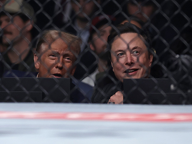 2024 год